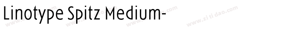 Linotype Spitz Medium字体转换